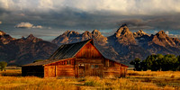 2153MormanRow_12x24