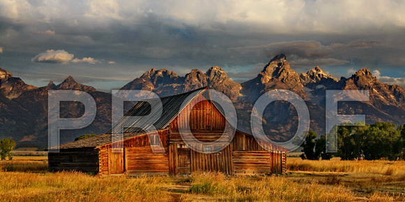 2153MormanRow_12x24